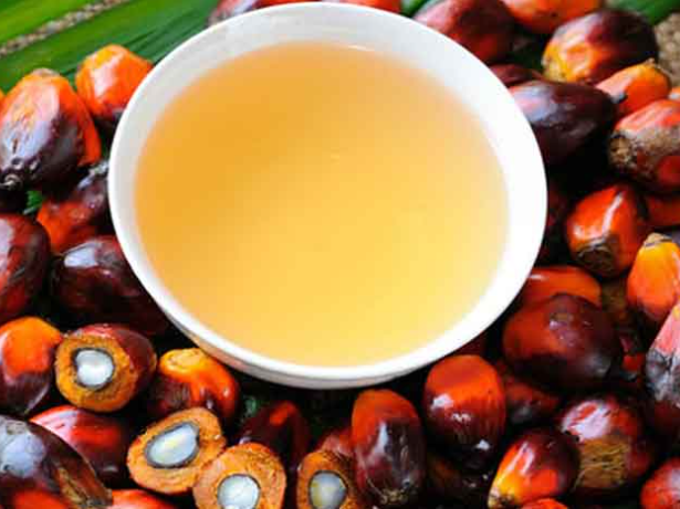 sunflower oil for sale soybean oil for sale crude palm oil refined palm oil Crude sunflower oil
